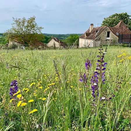 Safari Tent With A Beautiful View At Lot Sous Toile * Montamel