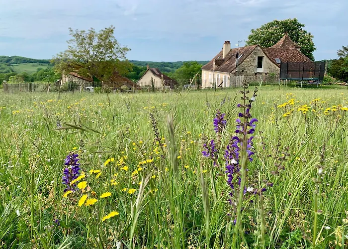 Safari Tent With A Beautiful View At Lot Sous Toile * Montamel